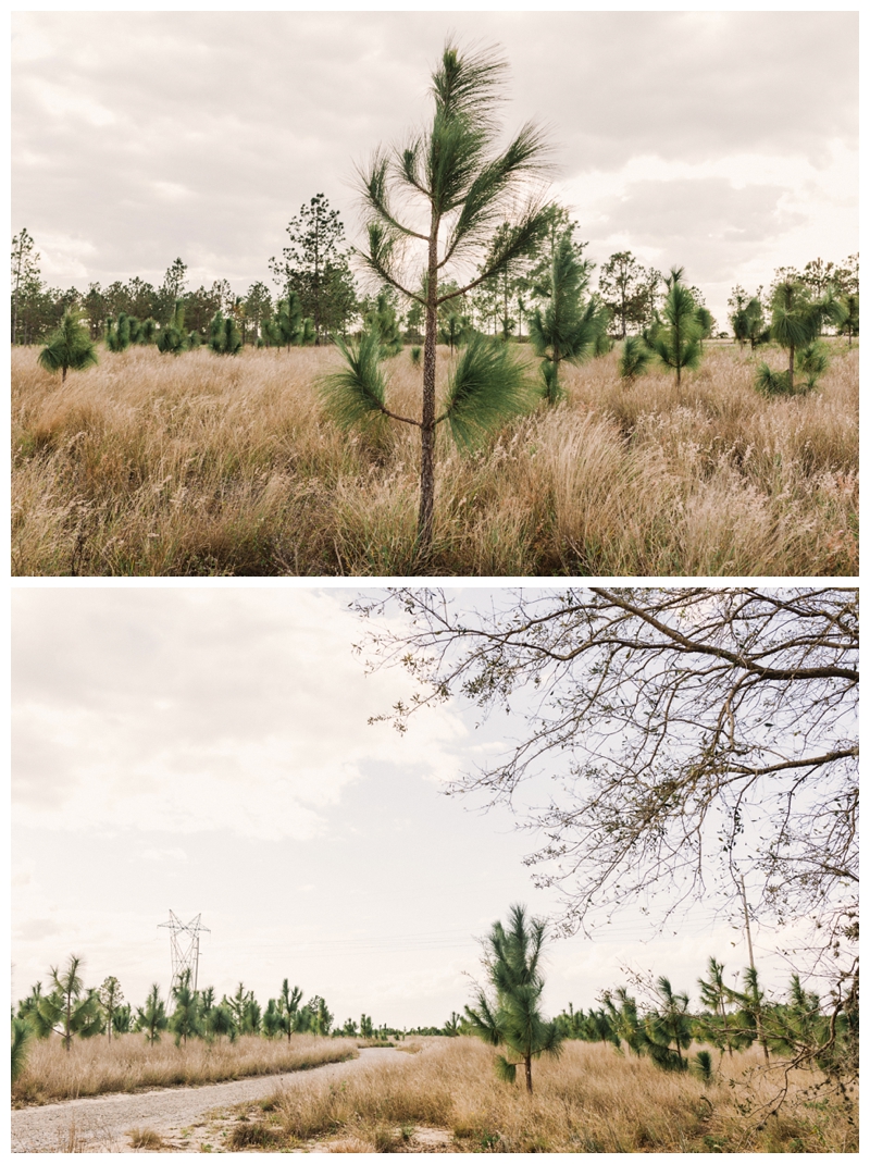 Lakeland-Wedding-Photographer_Carolyn-and-Mark_Bok-Tower-Engagement_Lake-Wales-FL__0001.jpg