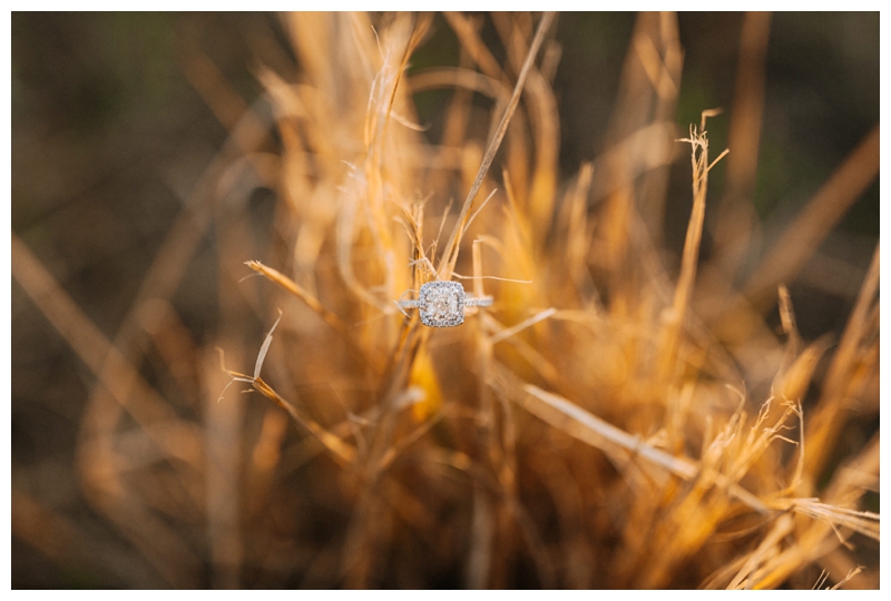 Tampa-Wedding-Photographer_Sunset-Field-Engagement_Jen-and-Alajuon_Lakeland-FL_0031.jpg