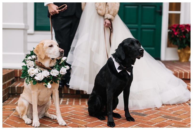 Destination-Wedding-Photographer_The-White-Room-Wedding_Hannah-and-Dylan_Saint-Augustine_FL_0048.jpg