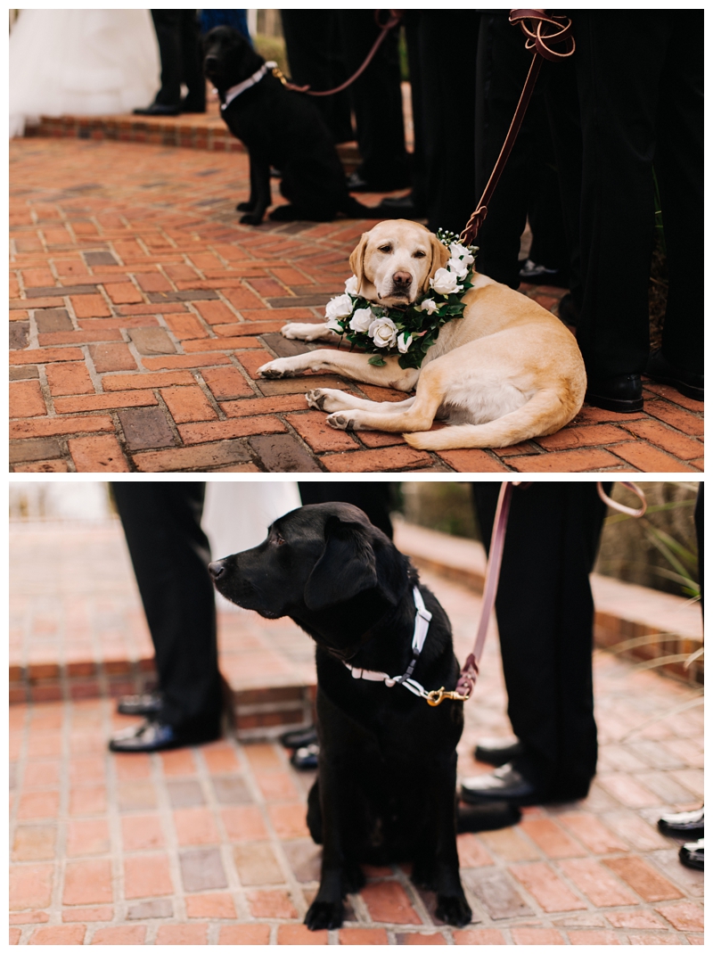 Destination-Wedding-Photographer_The-White-Room-Wedding_Hannah-and-Dylan_Saint-Augustine_FL_0097.jpg