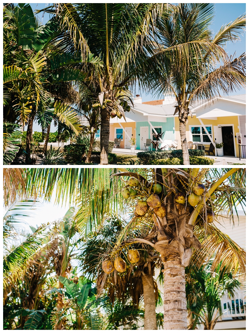 Destination-Wedding-Photographer_Casey-Key-Destination-Wedding_Mallory-and-Matt_Nokomis-FL_0000.jpg