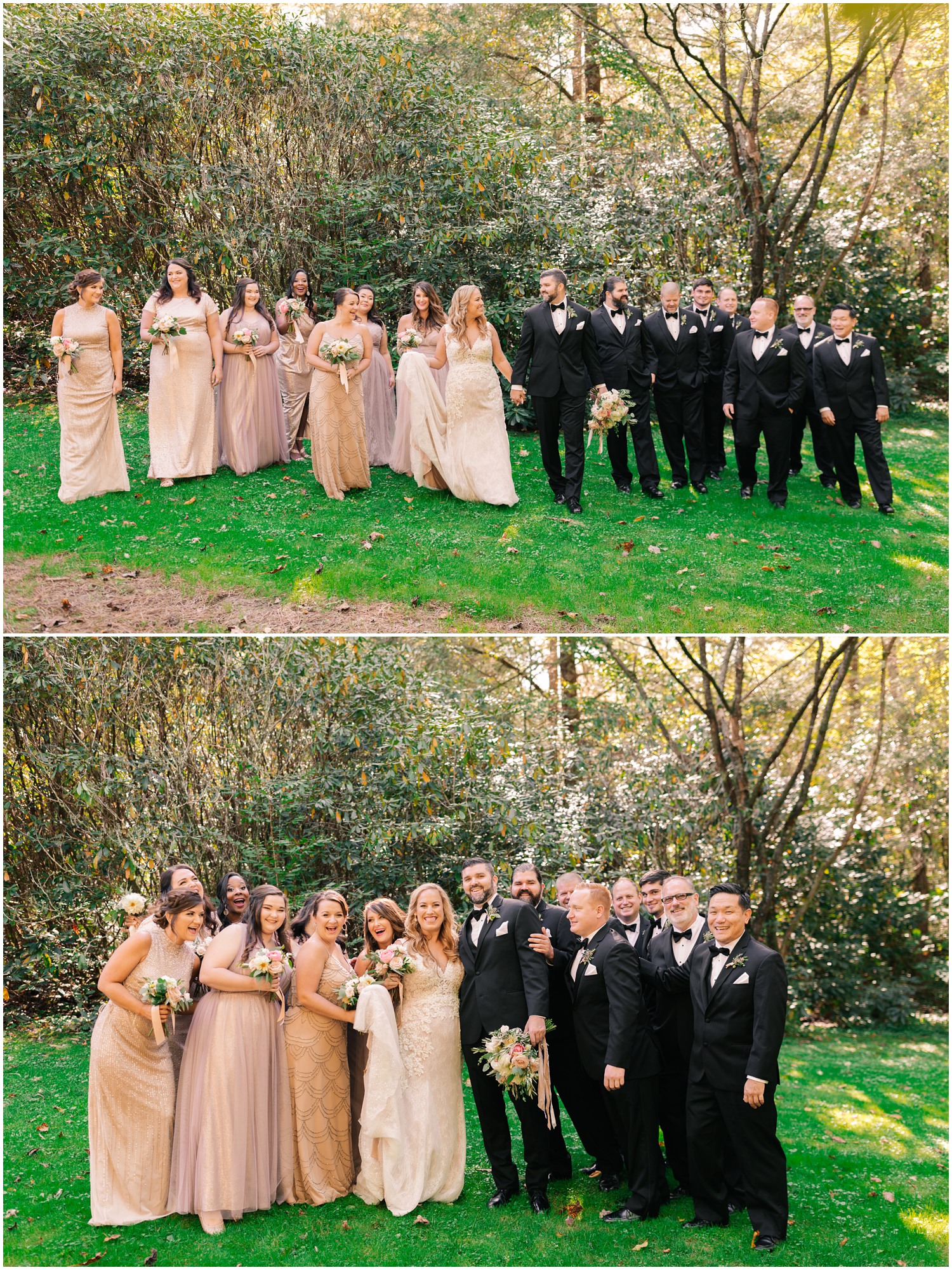 wedding party portraits for Wedding at Old Edwards Inn