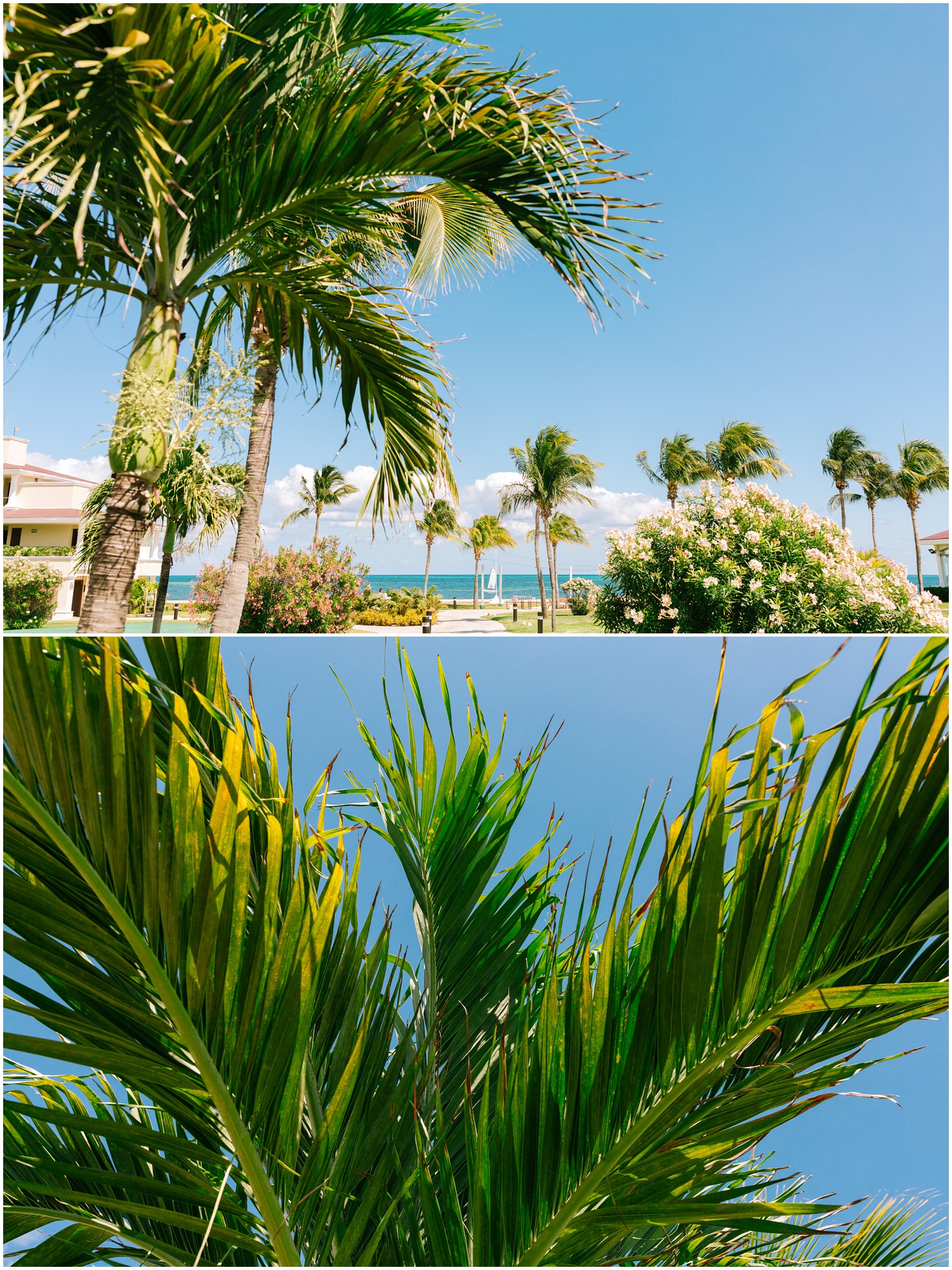 Destination-Wedding-Photographer_Destination-Wedding-at-Moon-Palace-Resort_Taylor-and-Derek_Cancun-Mexico_0026.jpg