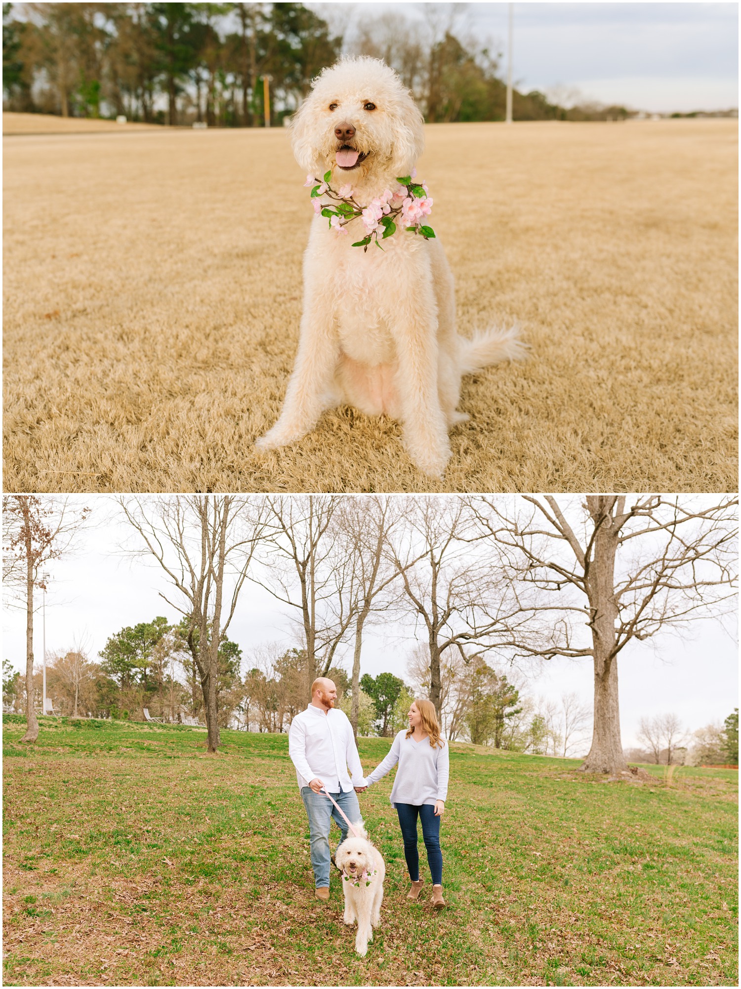 Winston-Salem-Wedding-Photographer_Engagement-Session-at-The-NC-Museum-of-Art_Courtney-and-Alec_Raleigh-NC_0001.jpg