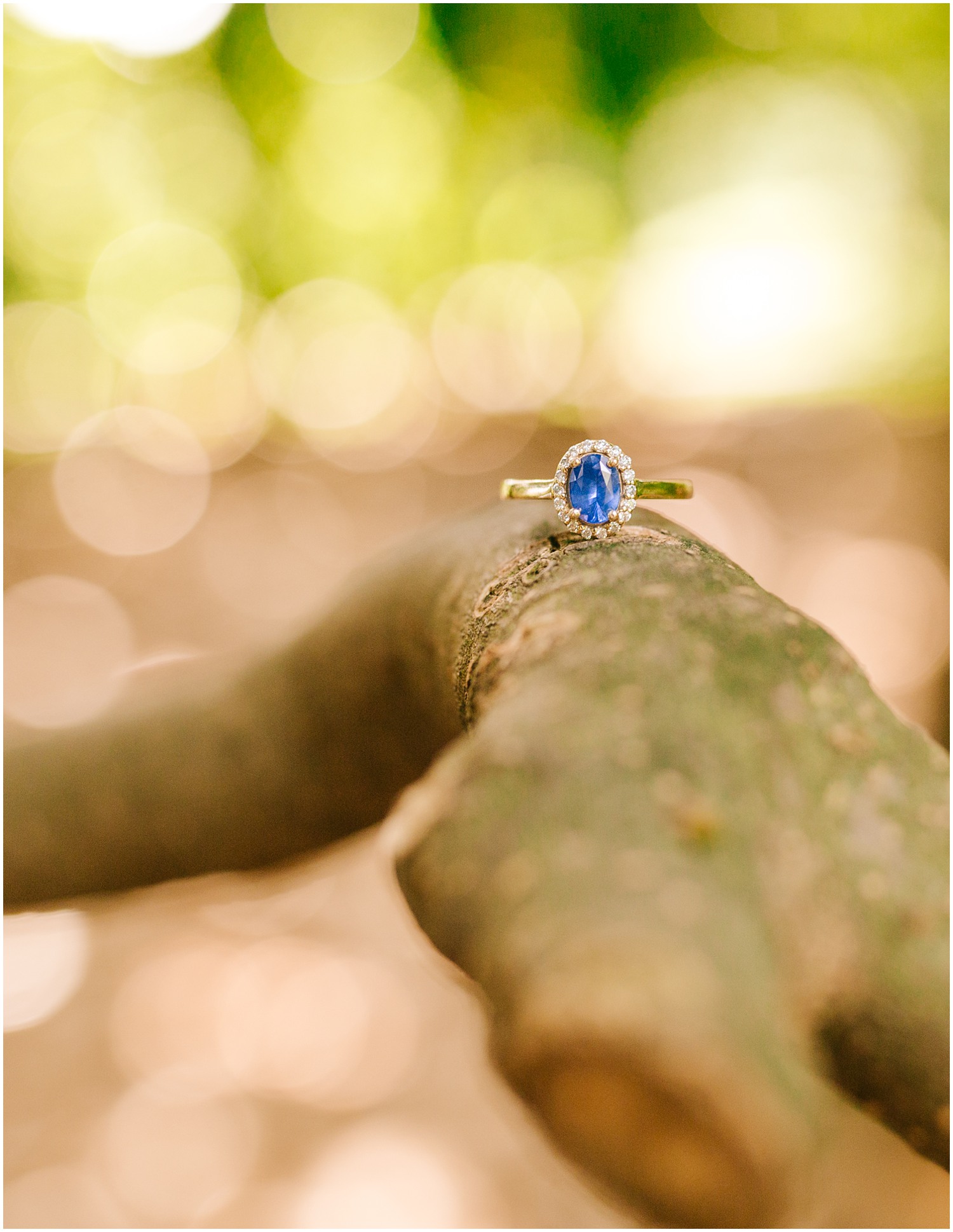 Winston-Salem-Wedding-Photographer_Reynolda-Gardens-Engagement-Session_Meghan-and-Tim_Winston-Salem-NC_0053.jpg