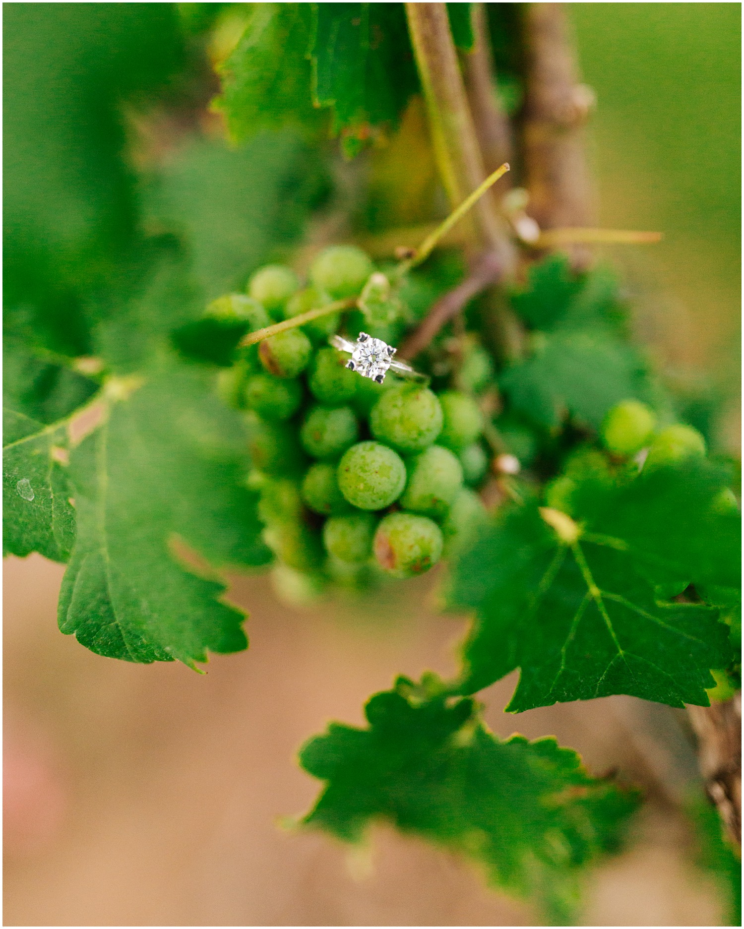 Winston-Salem-Wedding-Photographer_Vinyard-Engagement-Session-at-sanders-ridge-winery_Booneville-NC_0058.jpg