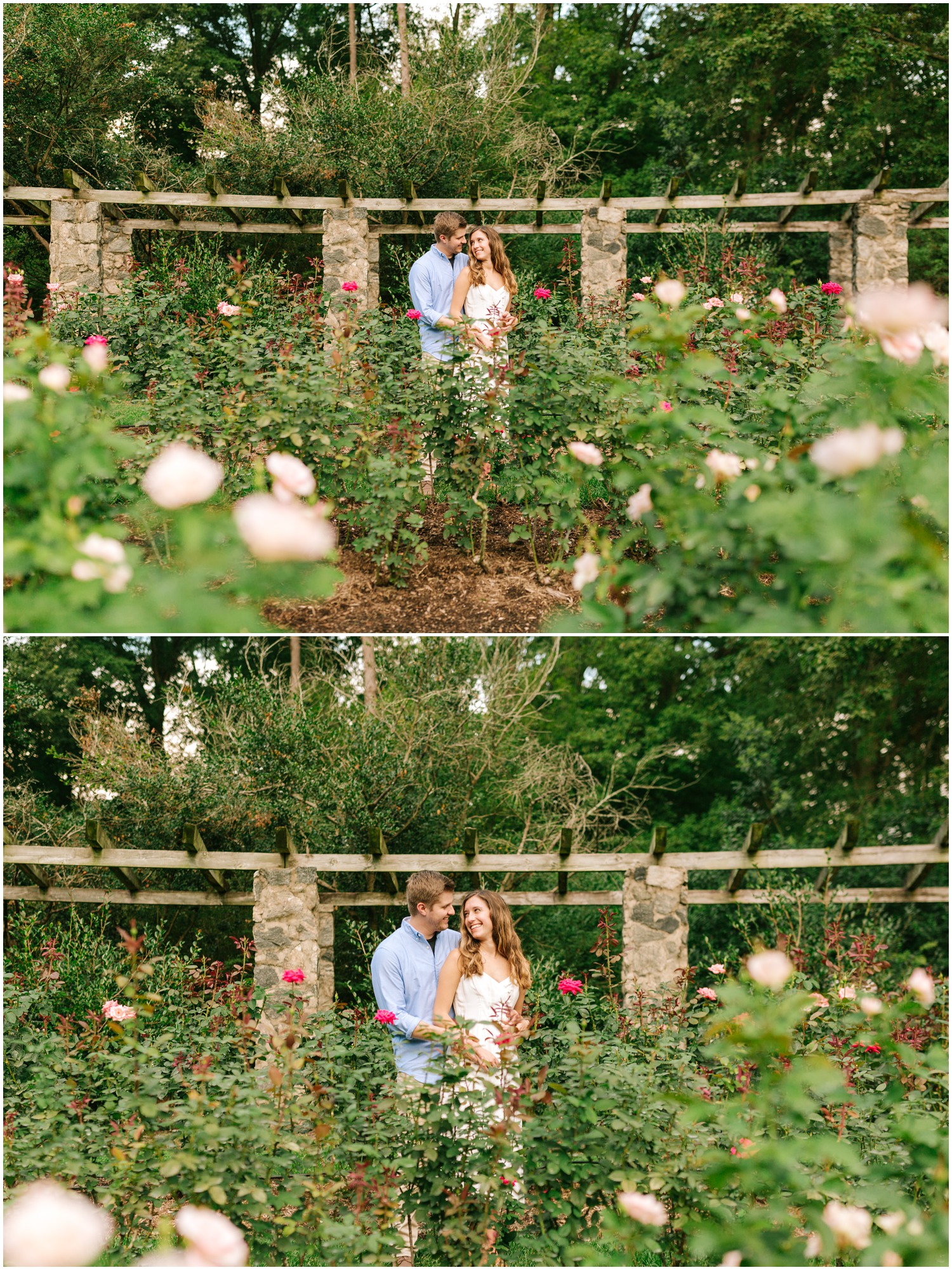 Colorful Rose Garden Engagement Session In Raleigh Alex Will