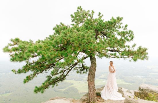 Winston-Salem Wedding Photgrapher captures bridal portraits at Pilot Mountain in North Carolina