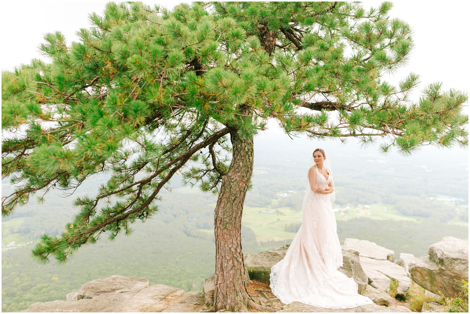 North Carolina bridal portraits under tree in state park