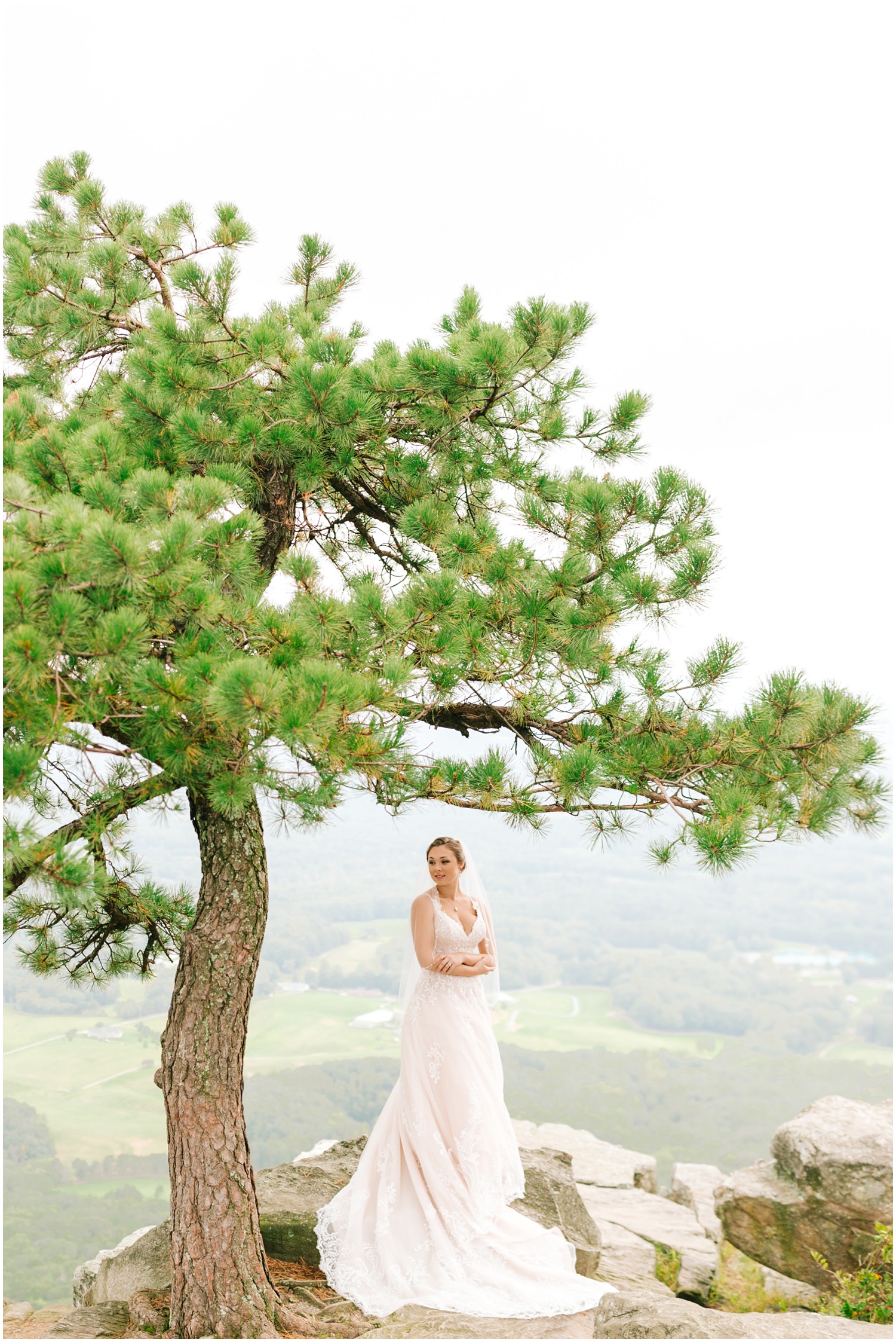 Pilot Mountain bridal session with bride posing under tree