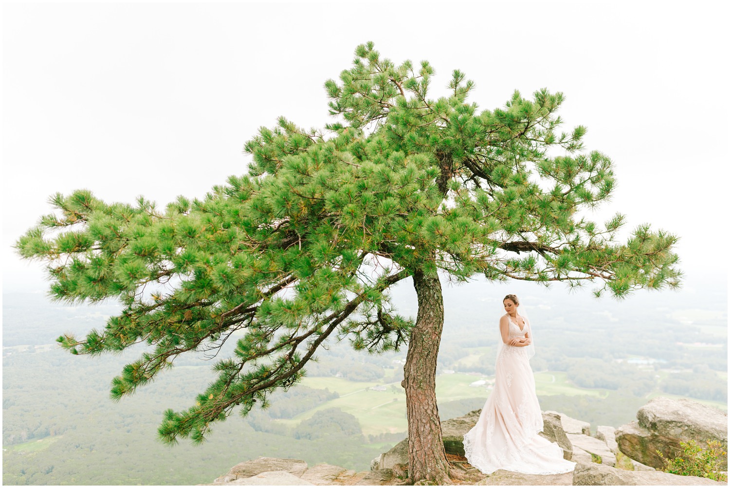 bride poses under tree in NC State Park in wedding dress