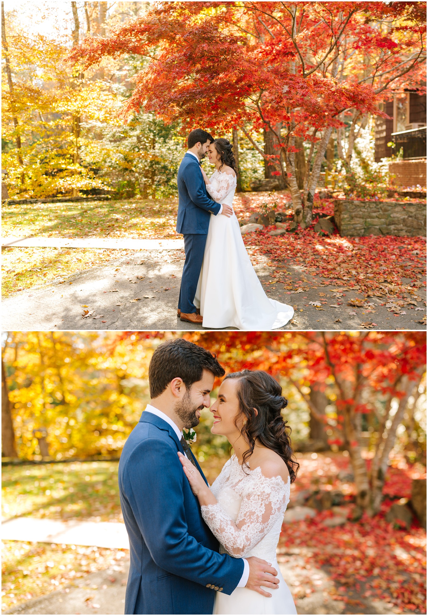 wedding portraits by tree with bright red leaves in AVL