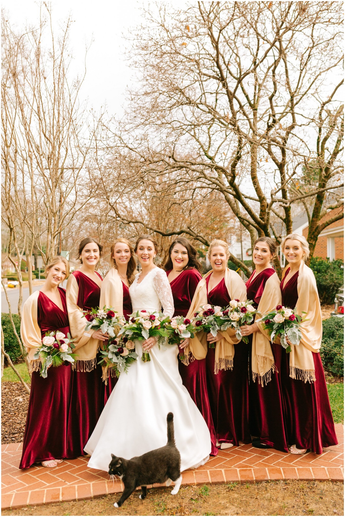 bride poses with bridesmaids in red velvet gowns while cat walks by 