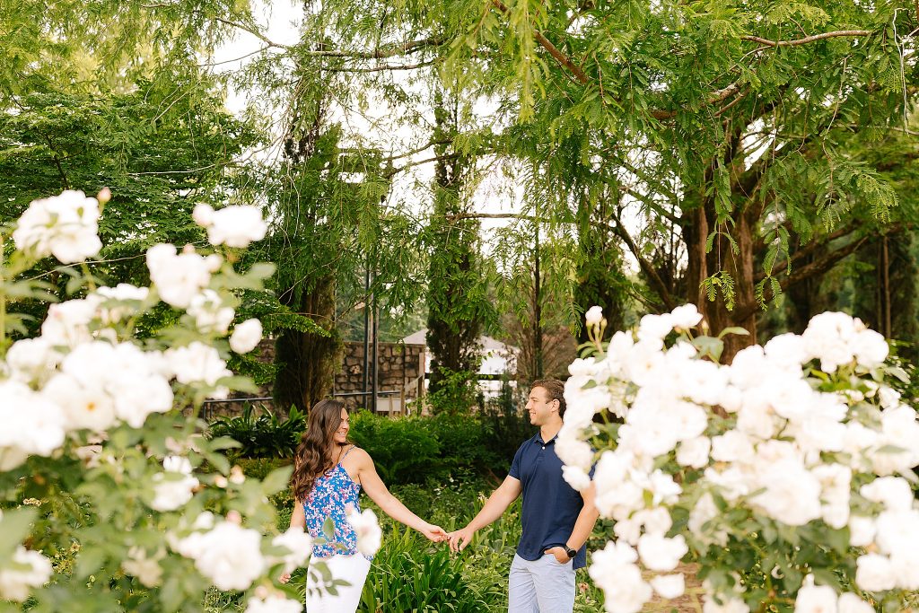 couple holds hands photographed through white rose bush at Raleigh Rose Garden