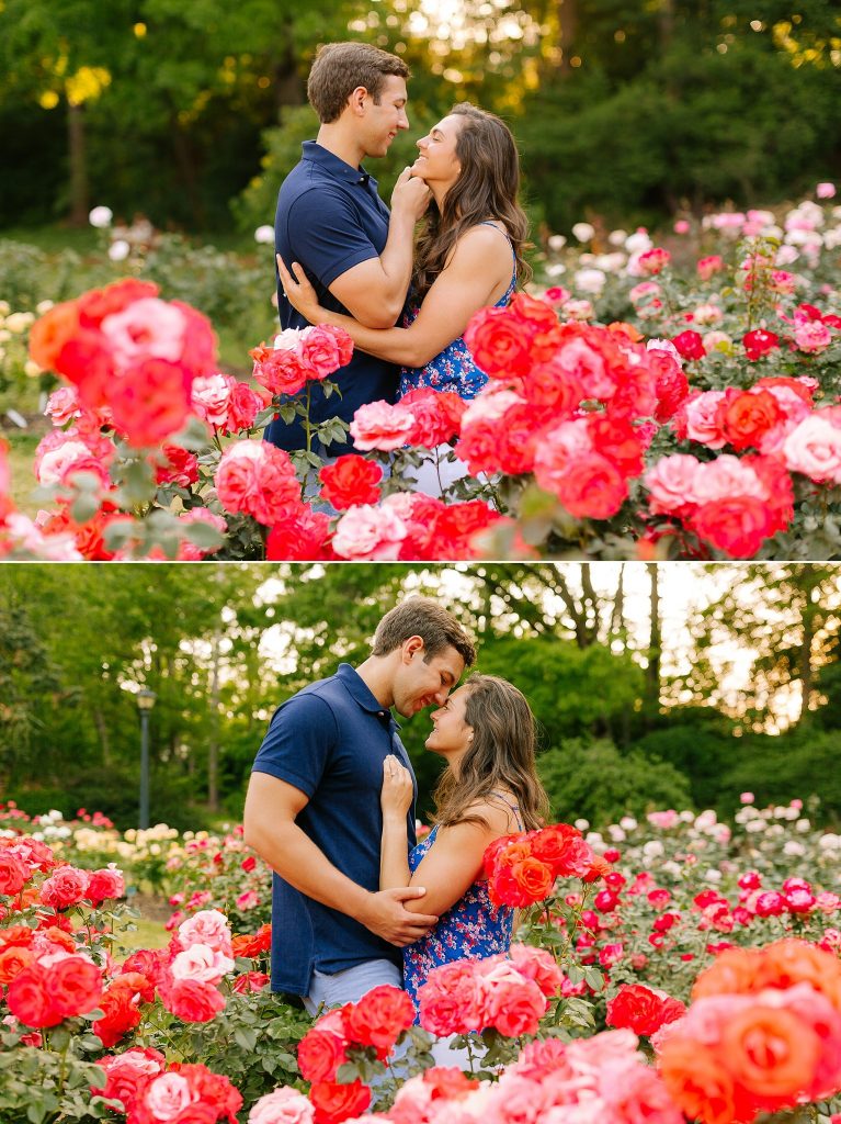 engaged couple laughs while standing in pink and red roses