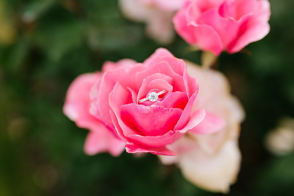 detail shot of engagement ring on pink rose