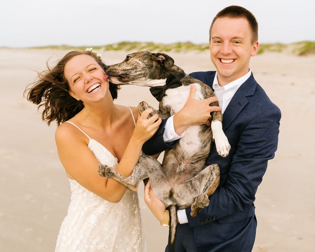 groom holds dog while dog licks bride before Ocracoke Island wedding 