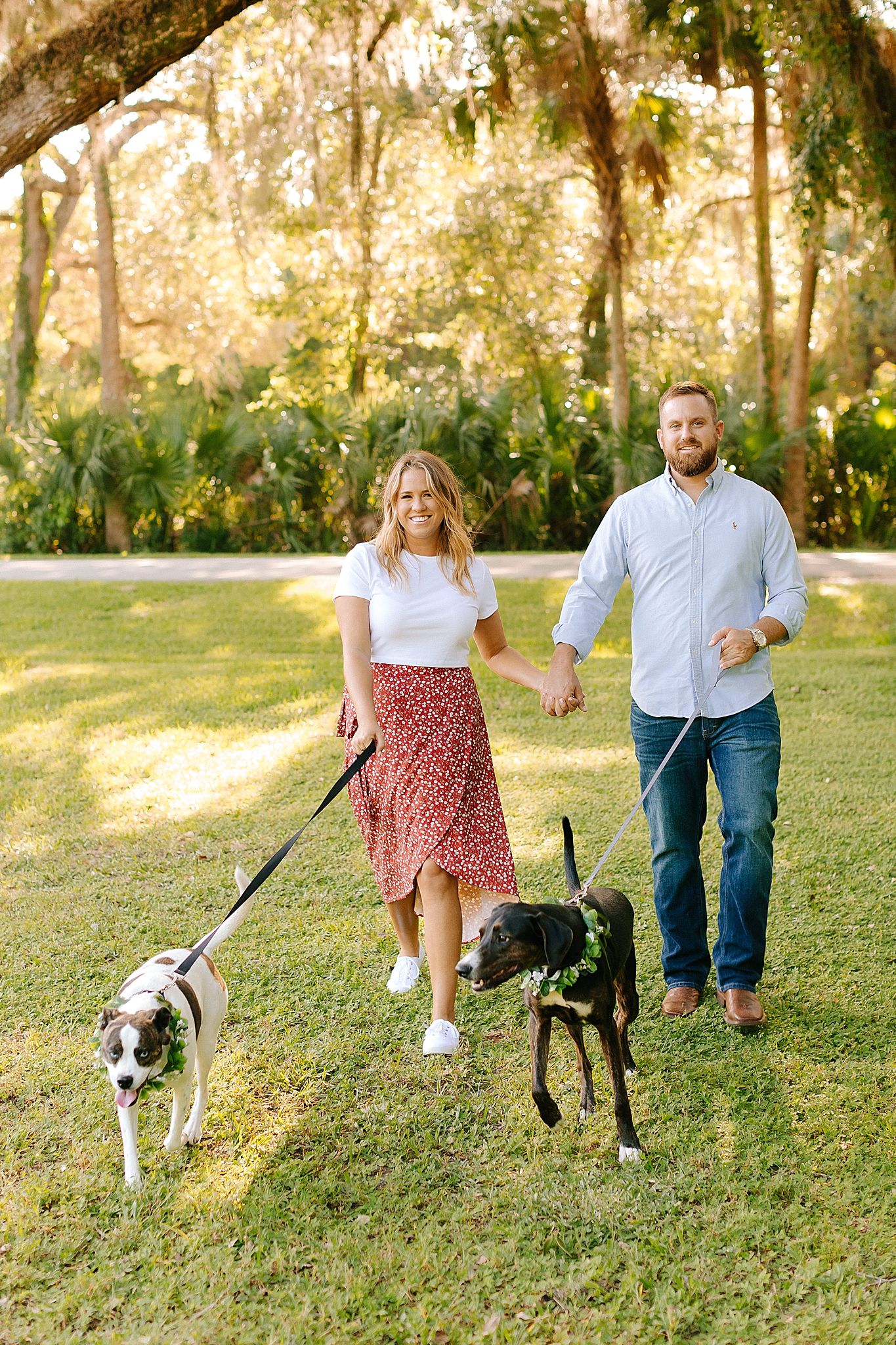 engaged couple walks dogs in Washington Oaks