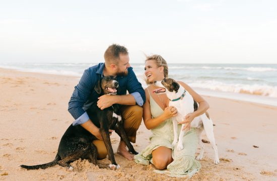 Engagement Session on the beach with dogs