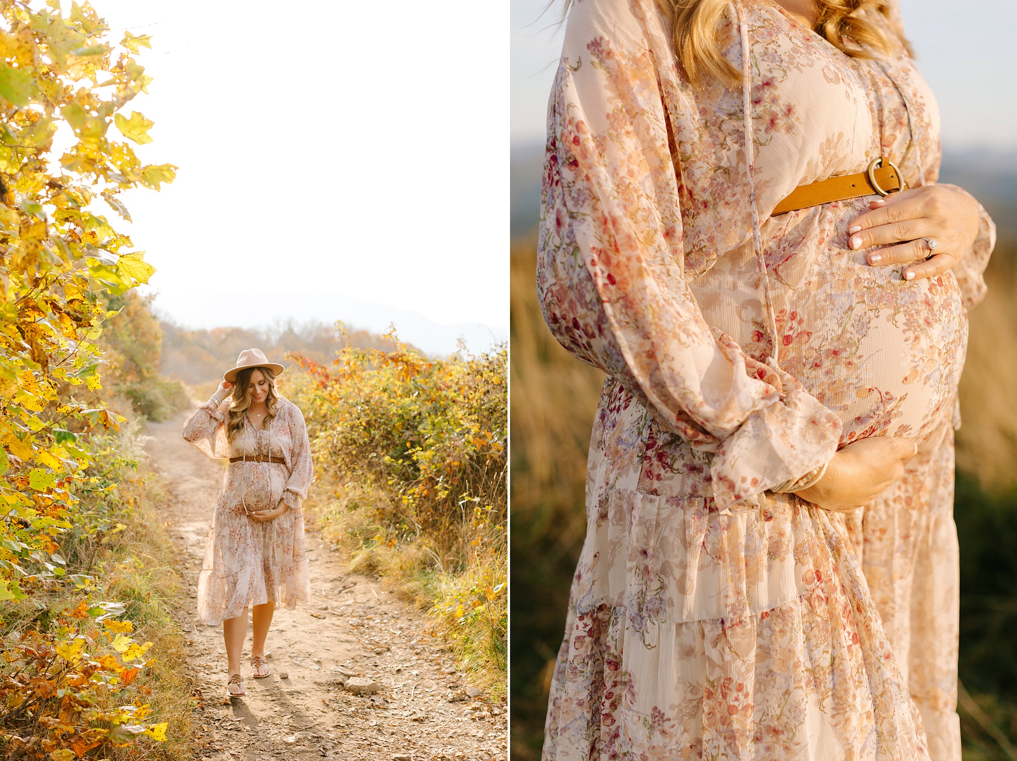 Asheville NC maternity portraits at Max Patch