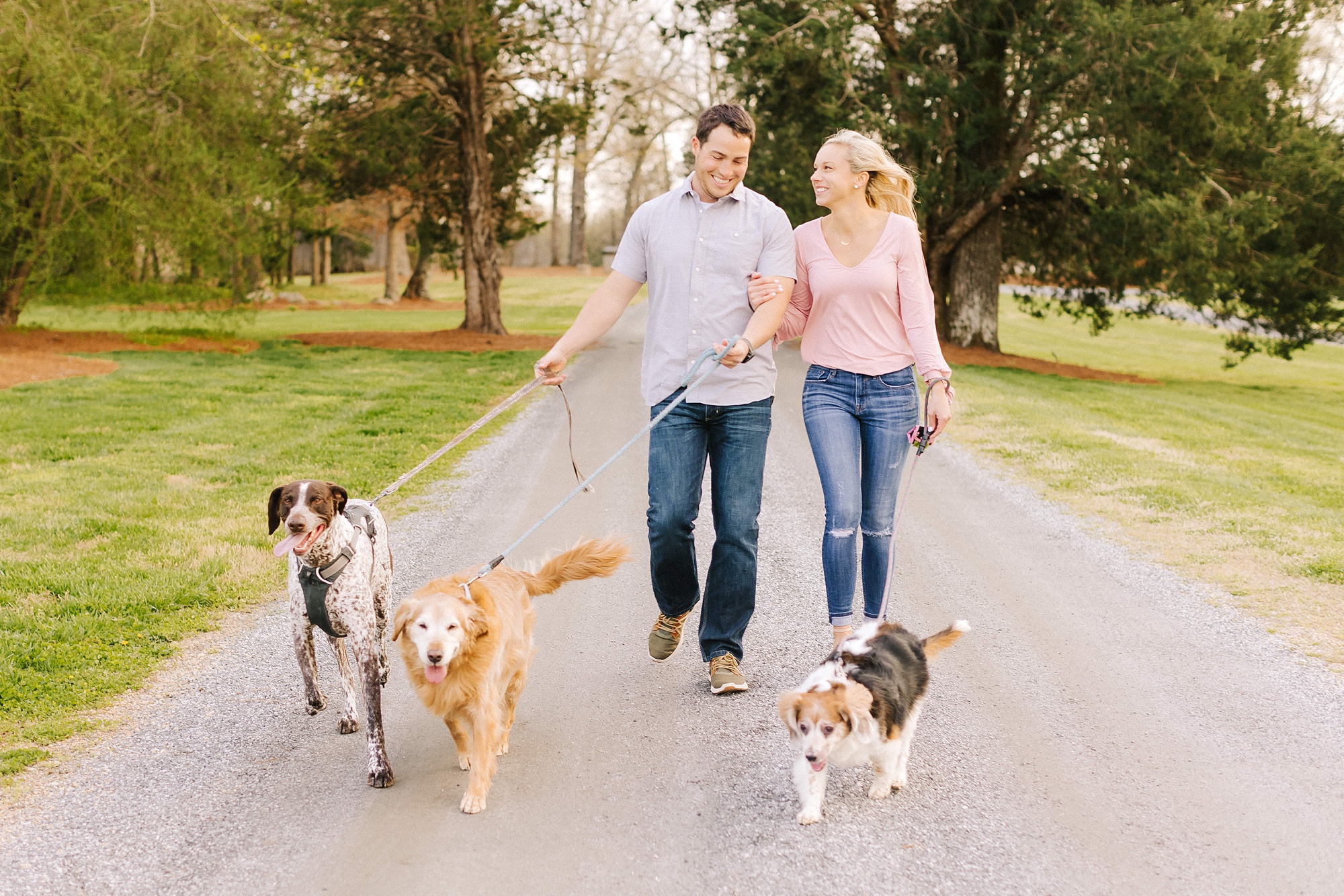 couple walks three dogs during Summerfield Farms engagement session