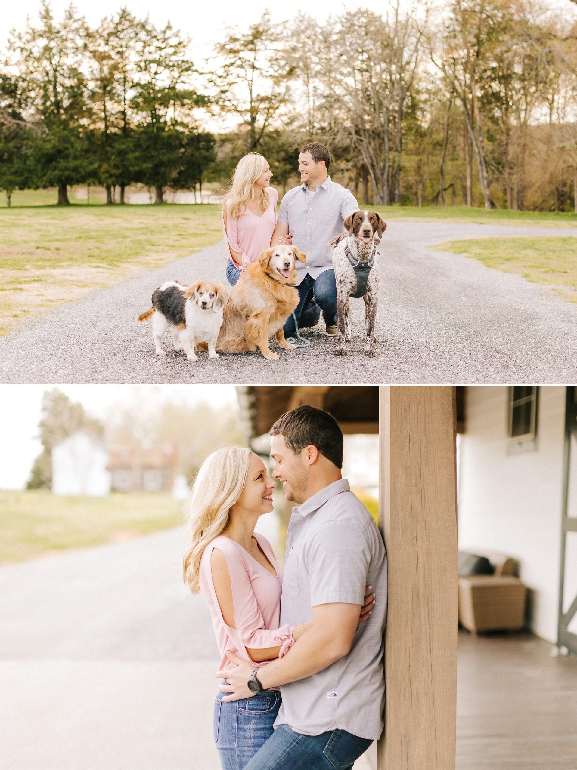 North Carolina engagement portraits with dogs