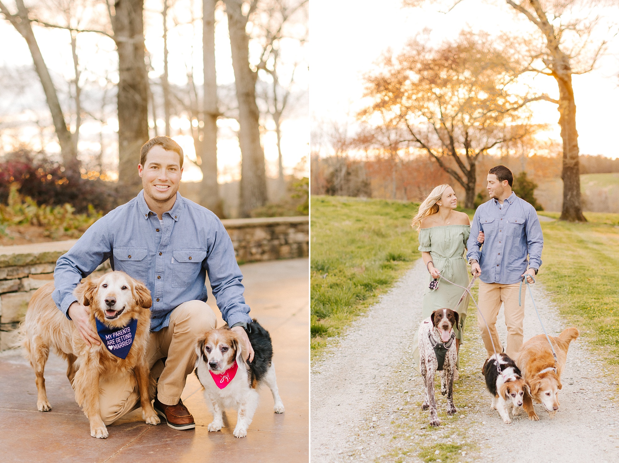 bride and groom pose with dogs during Greensboro NC engagement photos