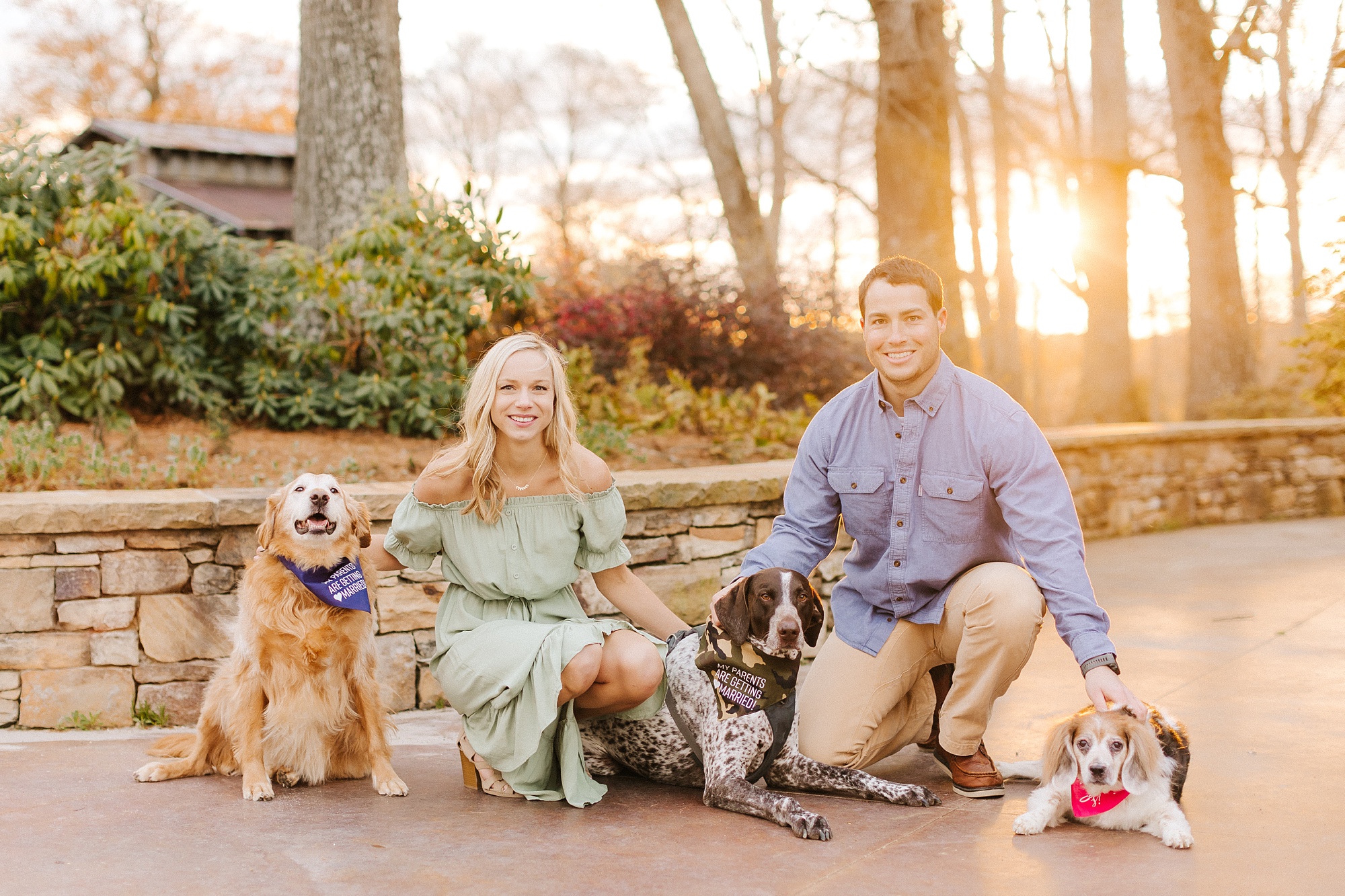 engaged couple poses with three dogs at sunset in Greensboro NC