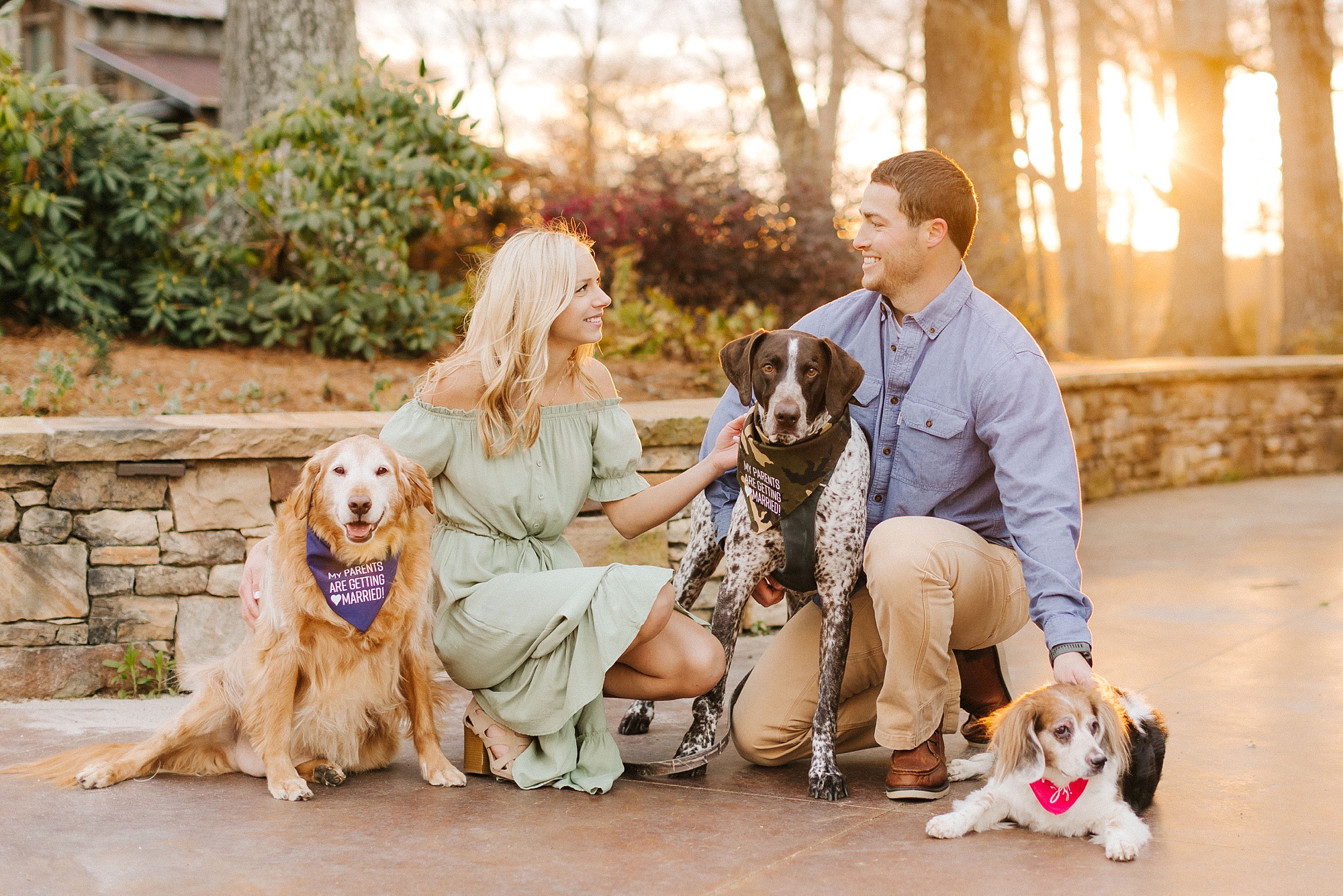 engaged couple poses with three dogs during Summerfield Farms engagement session