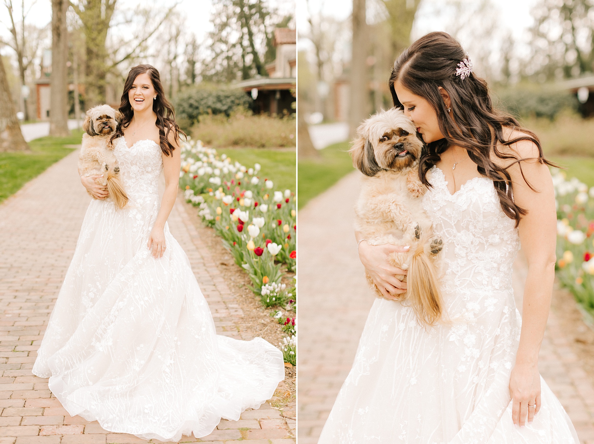bride holds dog in garden of NC