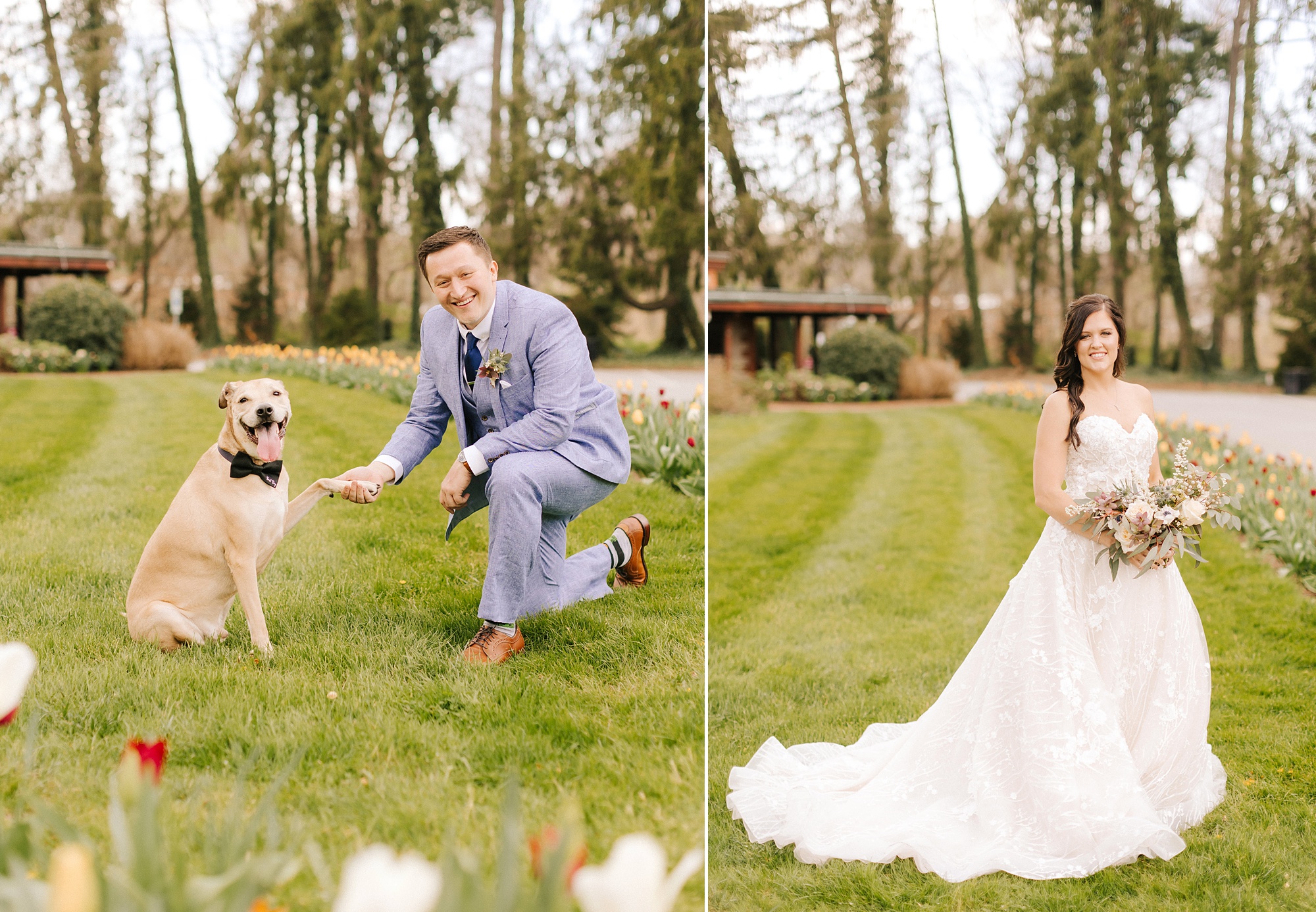 brie and groom pose with dog and in gardens of Asheville NC 