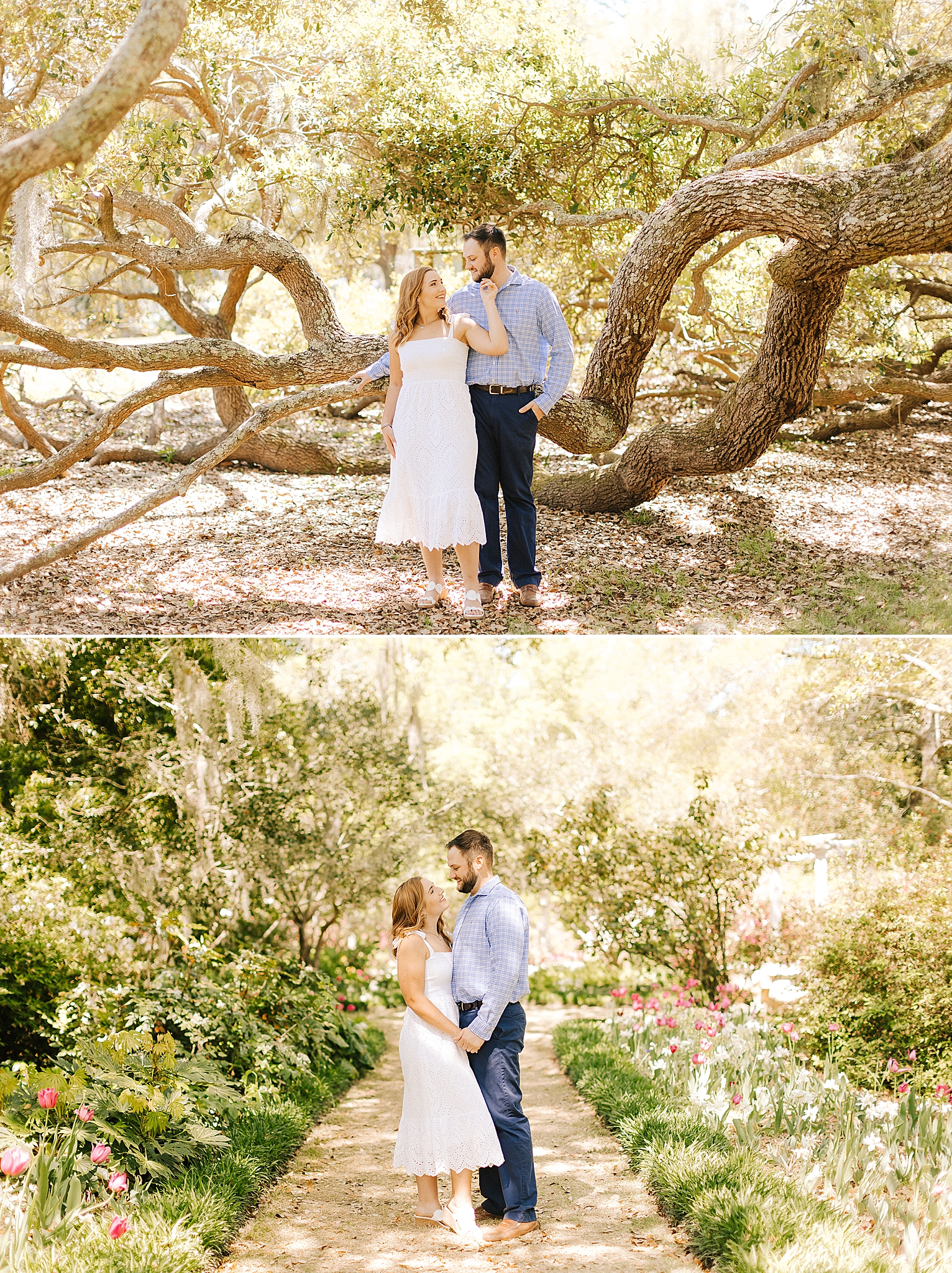 Wilmington engagement session in Airlie Gardens by tree branch