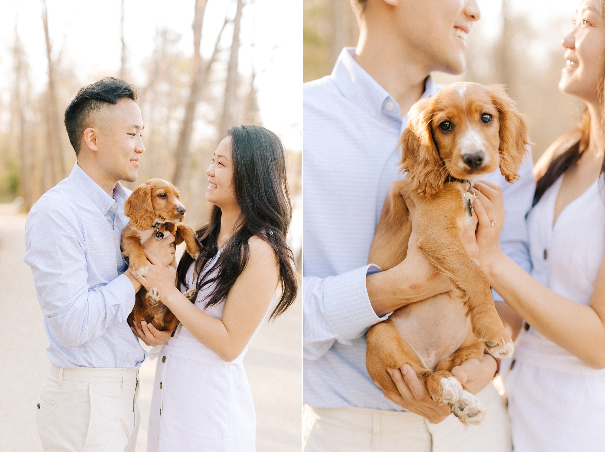 engagement portraits with dog in Salem Lake park