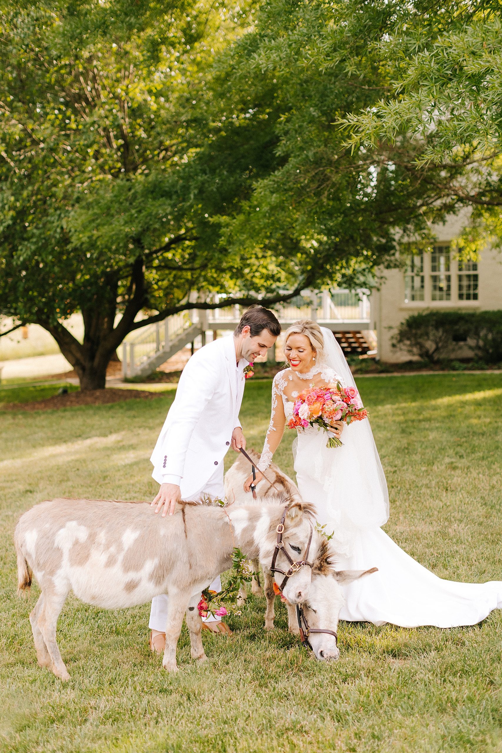 newlyweds walk with mini horses at The Meadows Raleigh