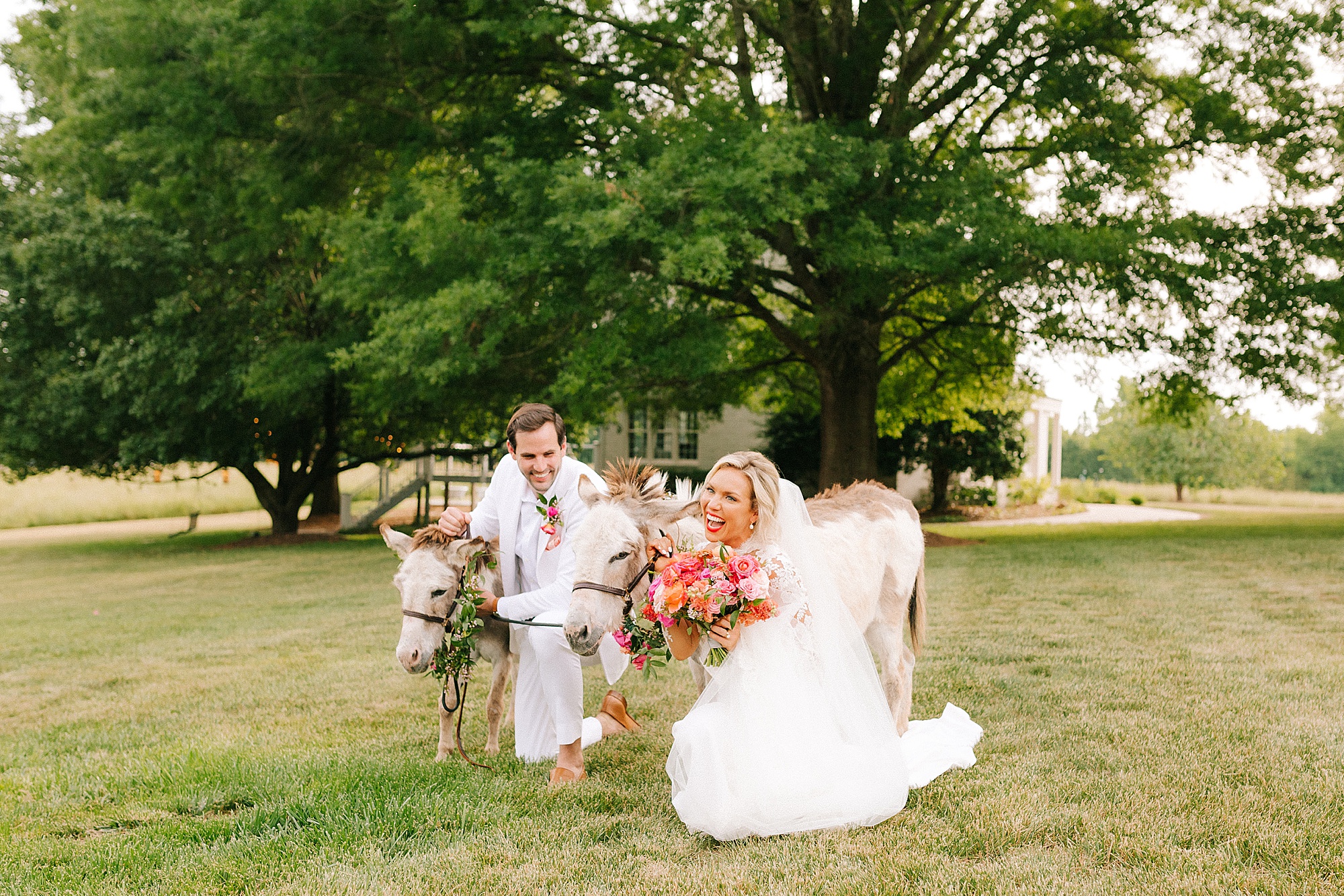 bride and groom pose with mini horse with colorful flower crown
