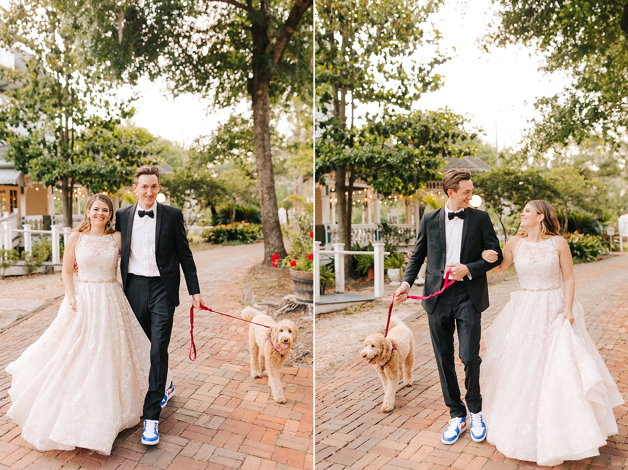 newlyweds walk dog during Gainesville FL wedding photos