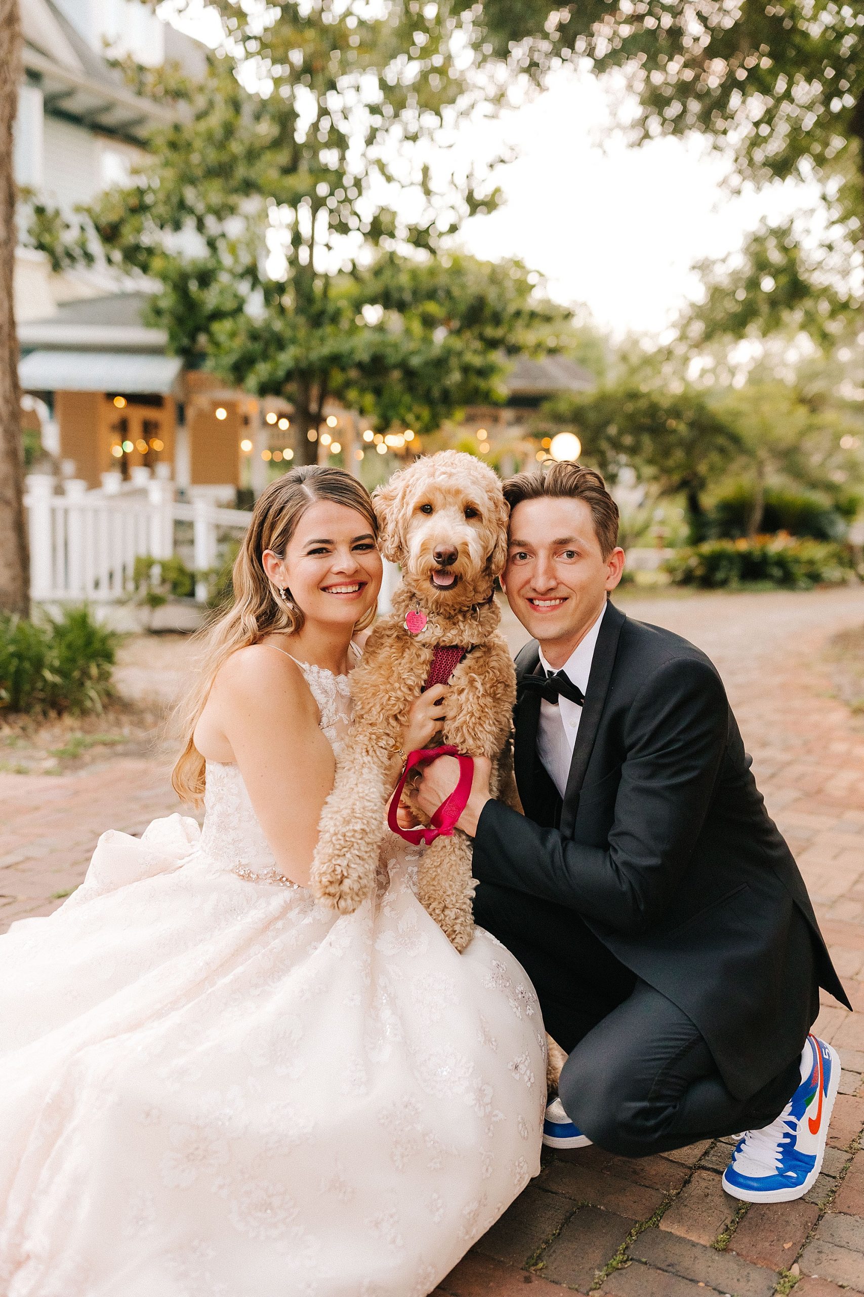 newlyweds hug fluffy dog during photos in Florida 